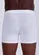 Cueca Boxer Lupo 615-002