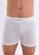 Cueca Boxer Lupo 661-001