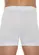Cueca Boxer Zorba 781