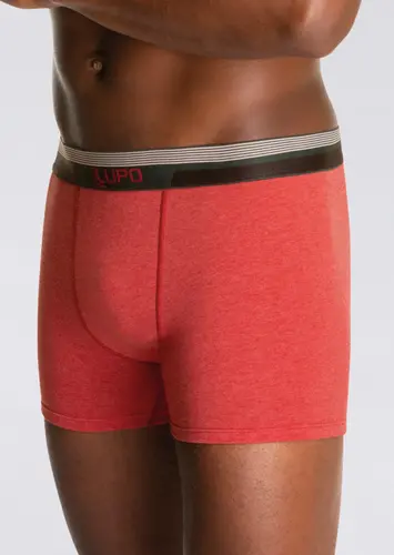 Cueca Boxer Lupo 784-037