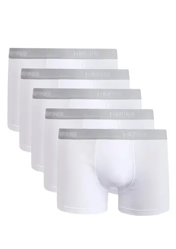 Kit com 5 Cuecas Boxer Hering 77qu