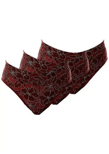 Kit com 3 Calcinhas Alta Olimpo Demillus 26639