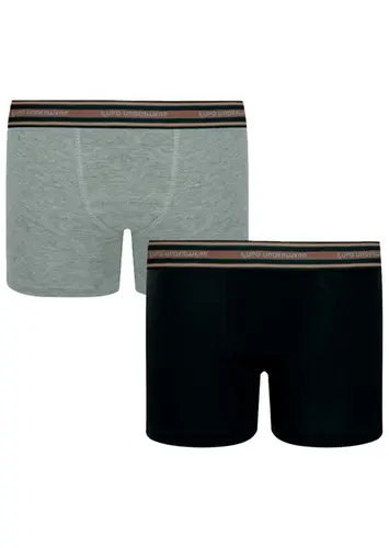 Kit com 2 Cuecas Infantil Boxer Lupinho 141-088