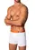 Cueca Boxer Lupo 784-057