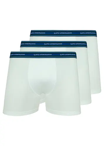 Kit com 3 Cuecas Boxer Lupo 523-003
