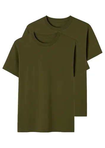 Kit com 2 Camisetas Masculina Hering 0227
