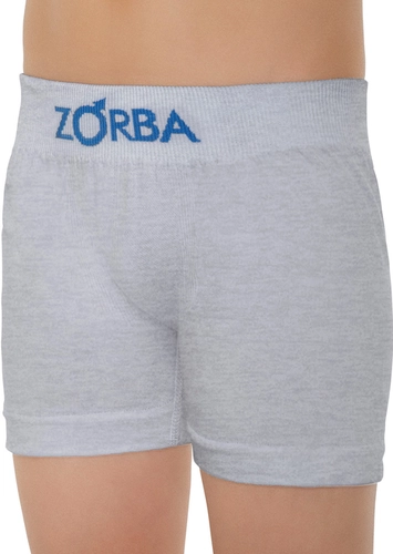 Cueca Infantil Boxer Zorba 678