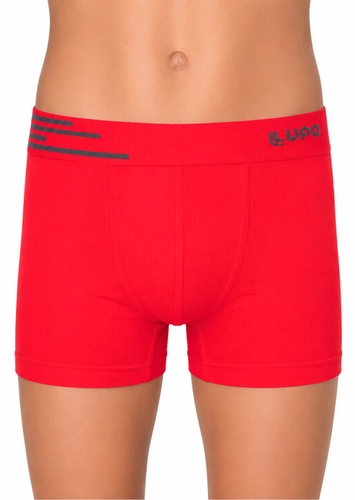 Cueca Infantil Boxer Lupinho 132-002