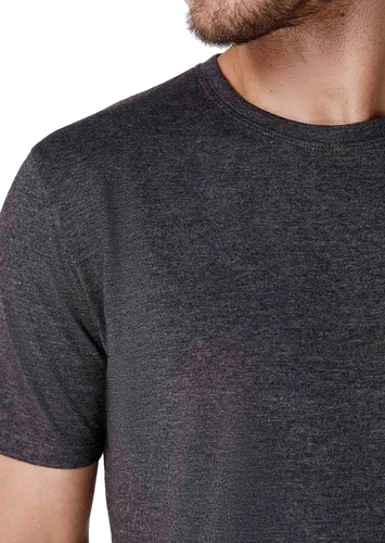 Camiseta Masculina Hering 0201