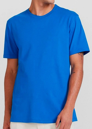 Camiseta Masculina Hering 0201