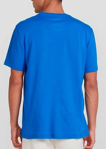 Camiseta Masculina Hering 0201