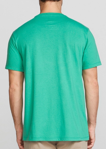 Camiseta Masculina Hering 0201