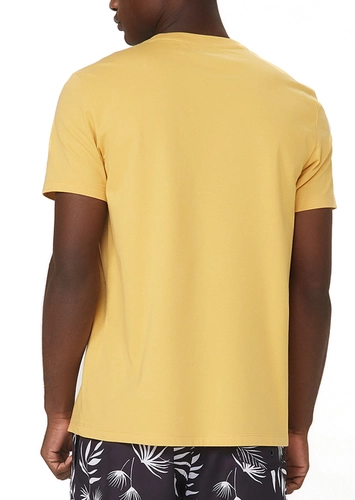 Camiseta Masculina Hering 0201