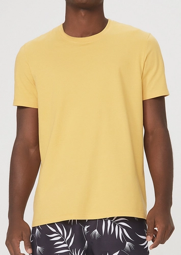 Camiseta Masculina Hering 0201