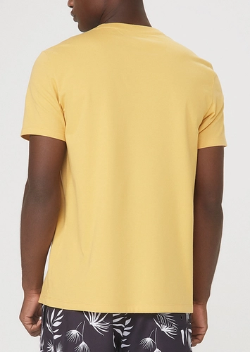 Camiseta Masculina Hering 0201