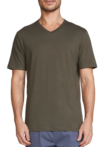 Camiseta Masculina Hering 022b