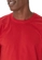 Camiseta Masculina Malwee 1000004423
