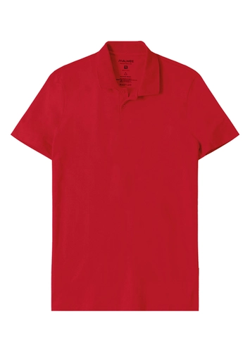 Camiseta Polo Masculina Malwee 1000004430