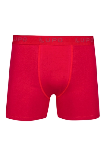 Cueca Boxer Lupo 615-002