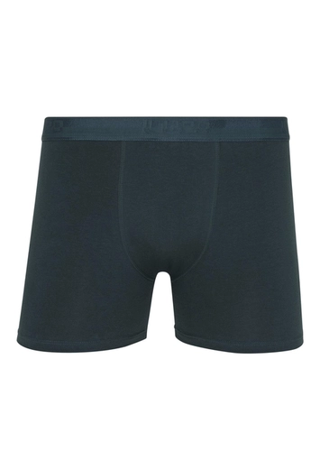 Cueca Boxer Lupo 784-017