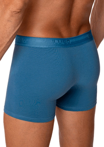 Cueca Boxer Lupo 784-017