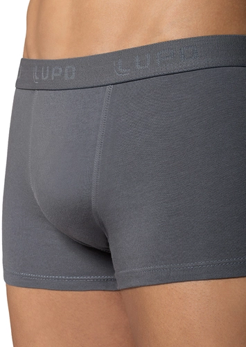 Cueca Sunga Lupo 480-002