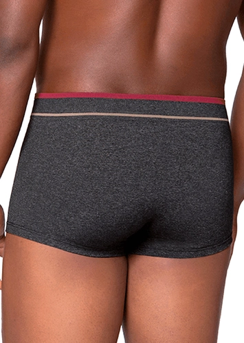 Cueca Sunga Lupo 526-001