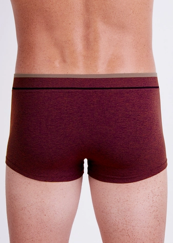 Cueca Sunga Lupo 526-001
