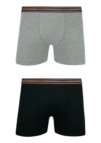 Kit com 2 Cuecas Boxer Lupo 523-088