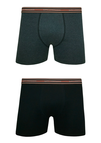 Kit com 2 Cuecas Boxer Lupo 523-088