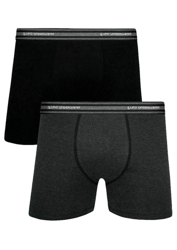 Kit com 2 Cuecas Boxer Lupo 523-088