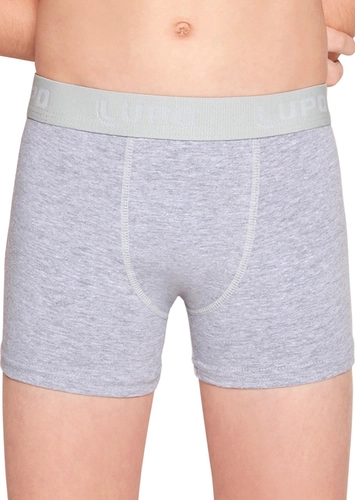 Cueca Infantil Boxer Lupinho 150-002 loading=