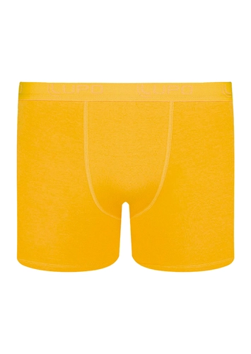 Cueca Infantil Boxer Lupinho 150-002