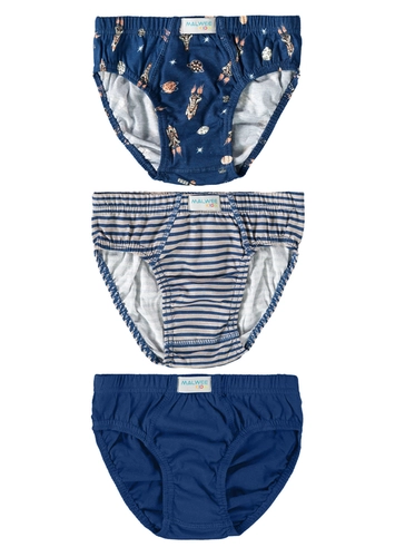 Kit com 3 Cuecas Infantil Slip Malwee 1000090623
