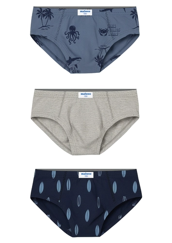 Kit com 3 Cuecas Infantil Slip Malwee 1000090623