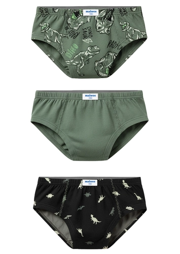 Kit com 3 Cuecas Infantil Slip Malwee 1000090623