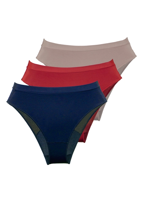 Kit com 3 Calcinhas Demillus 26826 Colorido