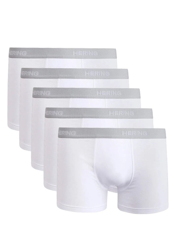 Kit com 5 Cuecas Boxer Hering 77qu