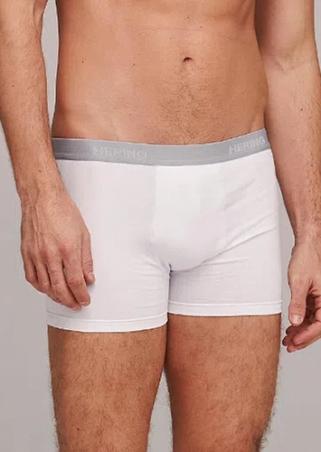 Kit com 5 Cuecas Boxer Hering 77qu