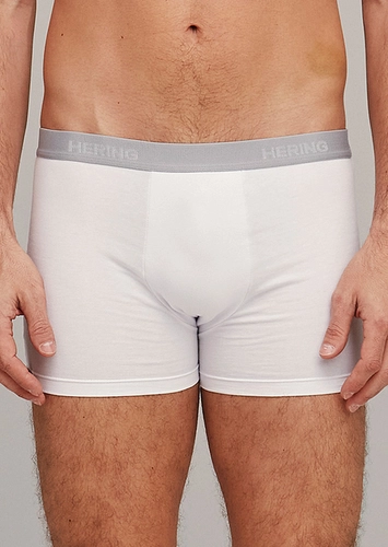 Kit com 5 Cuecas Boxer Hering 77qu