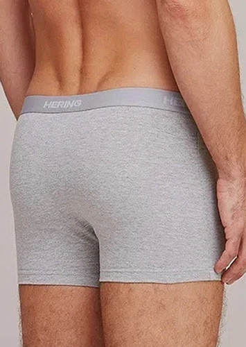 Kit com 5 Cuecas Boxer Hering 77qu