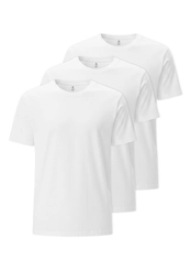 Kit com 3 Camisetas Masculina Hering 4fv2
