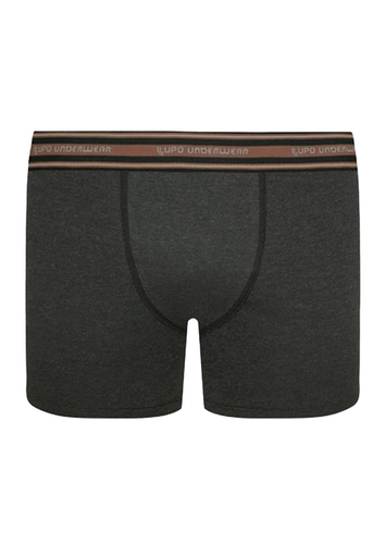 Cueca Infantil Boxer Lupinho 141-003