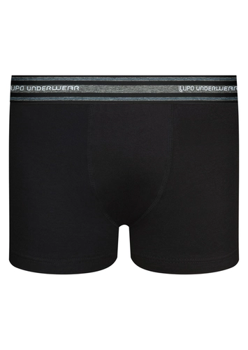 Cueca Infantil Boxer Lupinho 141-003
