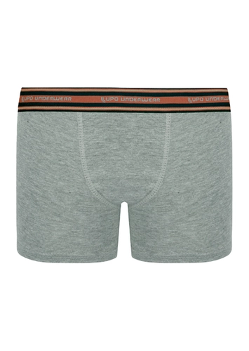 Cueca Infantil Boxer Lupinho 141-003