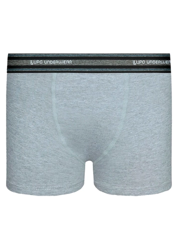 Cueca Infantil Boxer Lupinho 141-003