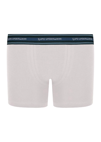 Cueca Infantil Boxer Lupinho 141-003