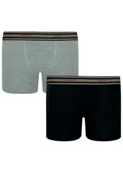 Kit com 2 Cuecas Infantil Boxer Lupinho 141-088