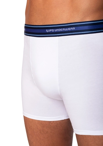Cueca Boxer Lupo 523-003