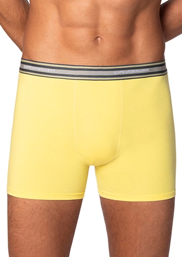 Cueca Boxer Lupo 523-003